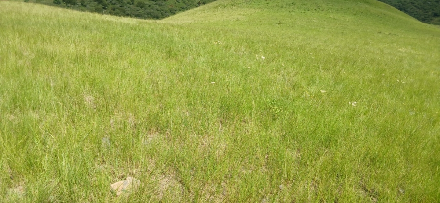 Commercial Property for Sale in Ixopo KwaZulu-Natal