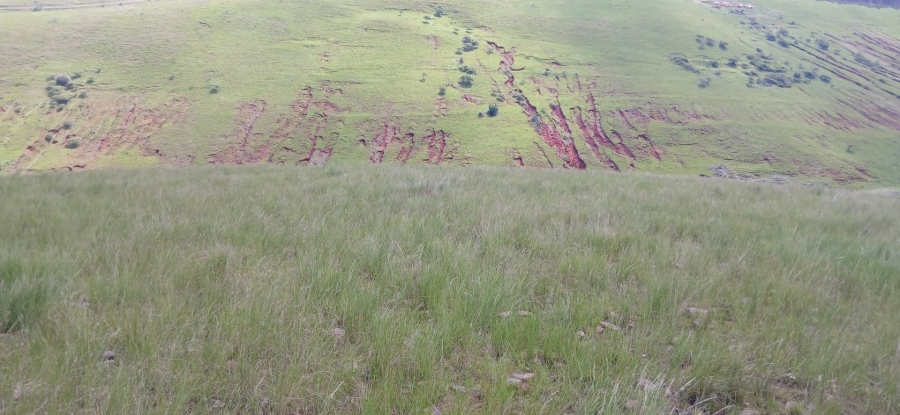 Commercial Property for Sale in Ixopo KwaZulu-Natal