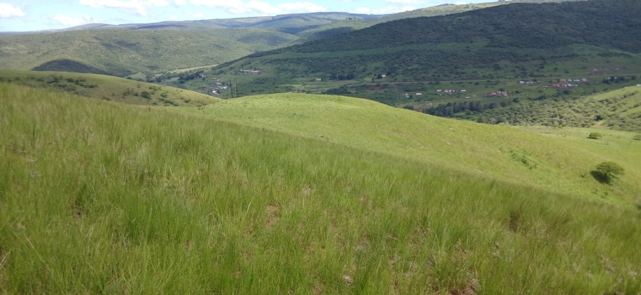 Commercial Property for Sale in Ixopo KwaZulu-Natal