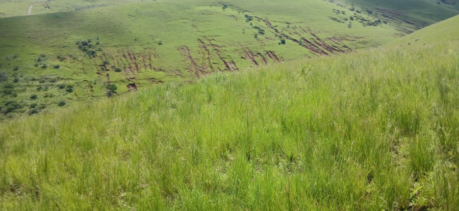 Commercial Property for Sale in Ixopo KwaZulu-Natal