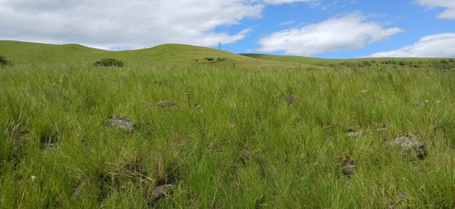 Commercial Property for Sale in Ixopo KwaZulu-Natal