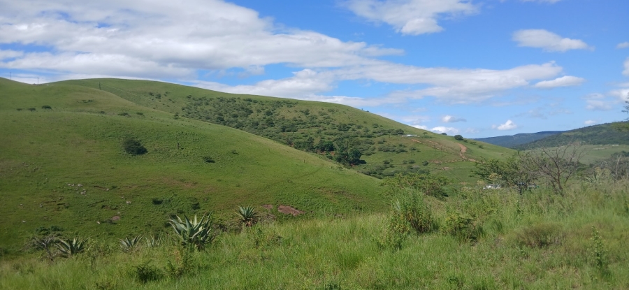 Commercial Property for Sale in Ixopo KwaZulu-Natal