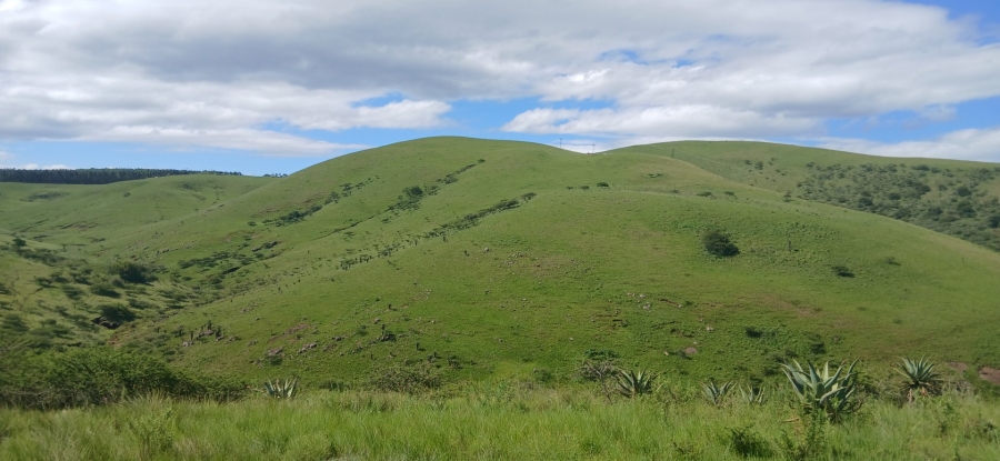 Commercial Property for Sale in Ixopo KwaZulu-Natal