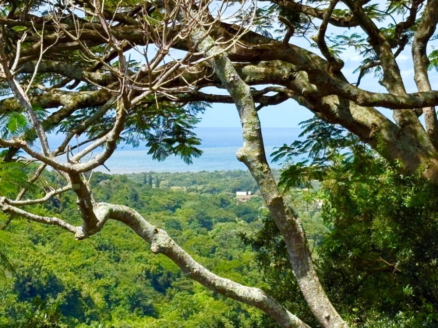 3 Bedroom Property for Sale in Umtentweni KwaZulu-Natal