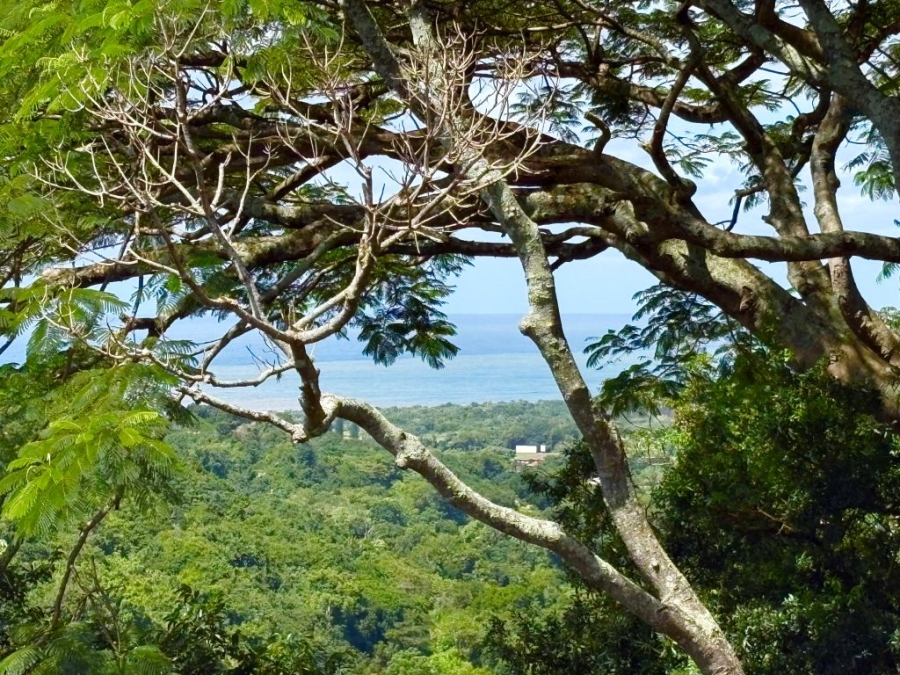 3 Bedroom Property for Sale in Umtentweni KwaZulu-Natal