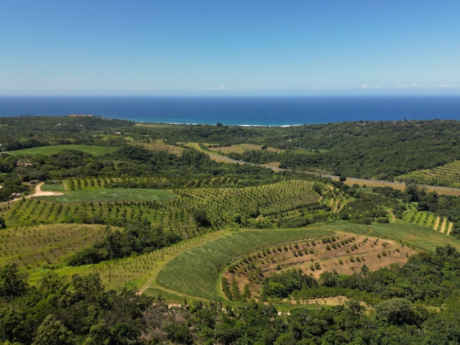 Commercial Property for Sale in Umzumbe KwaZulu-Natal