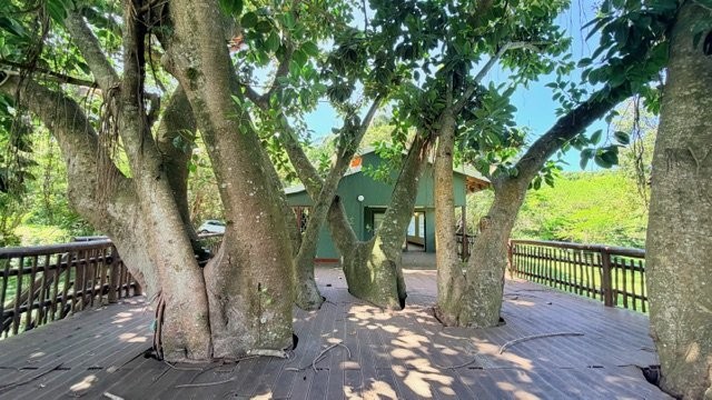 4 Bedroom Property for Sale in Banners Rest KwaZulu-Natal