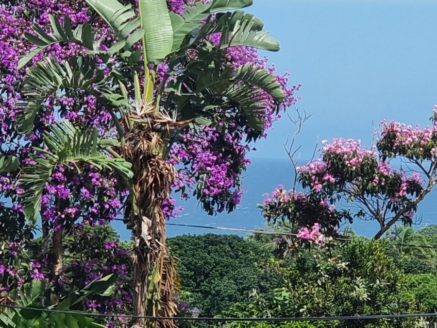 Commercial Property for Sale in Sea Park KwaZulu-Natal