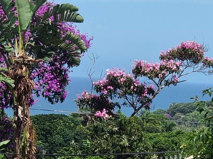 Commercial Property for Sale in Sea Park KwaZulu-Natal