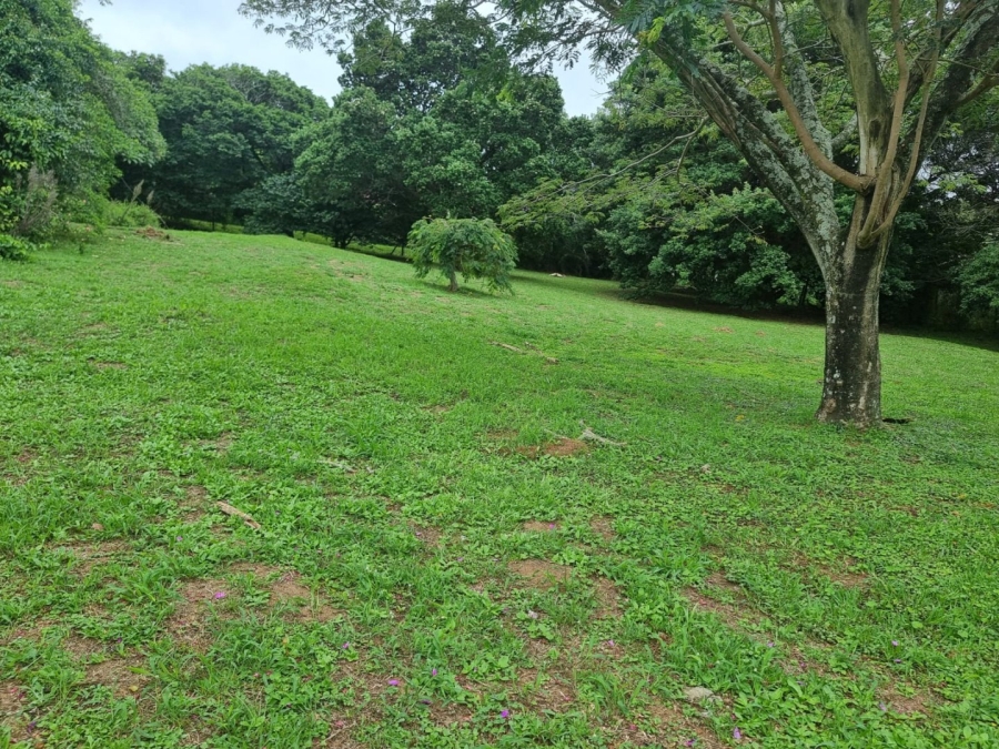 Commercial Property for Sale in Sea Park KwaZulu-Natal