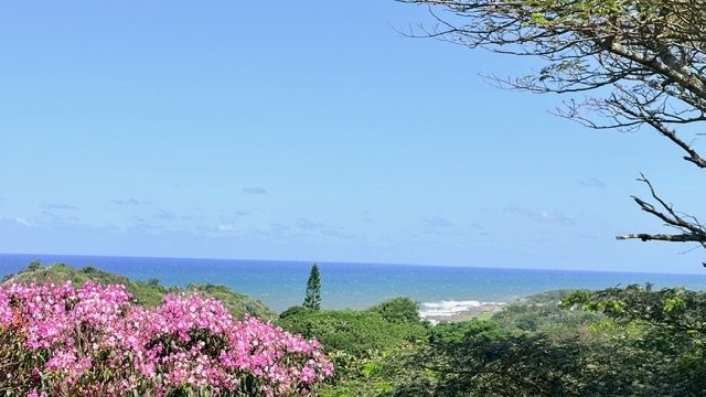 6 Bedroom Property for Sale in Leisure Bay KwaZulu-Natal