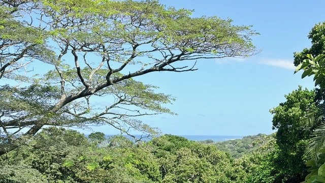 6 Bedroom Property for Sale in Leisure Bay KwaZulu-Natal