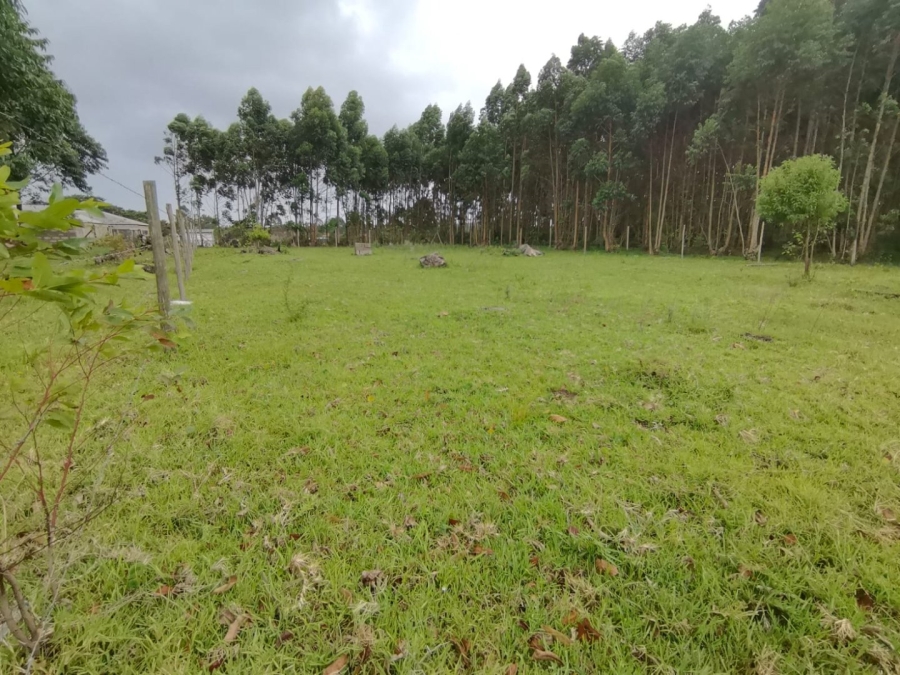 Commercial Property for Sale in Mzingazi KwaZulu-Natal