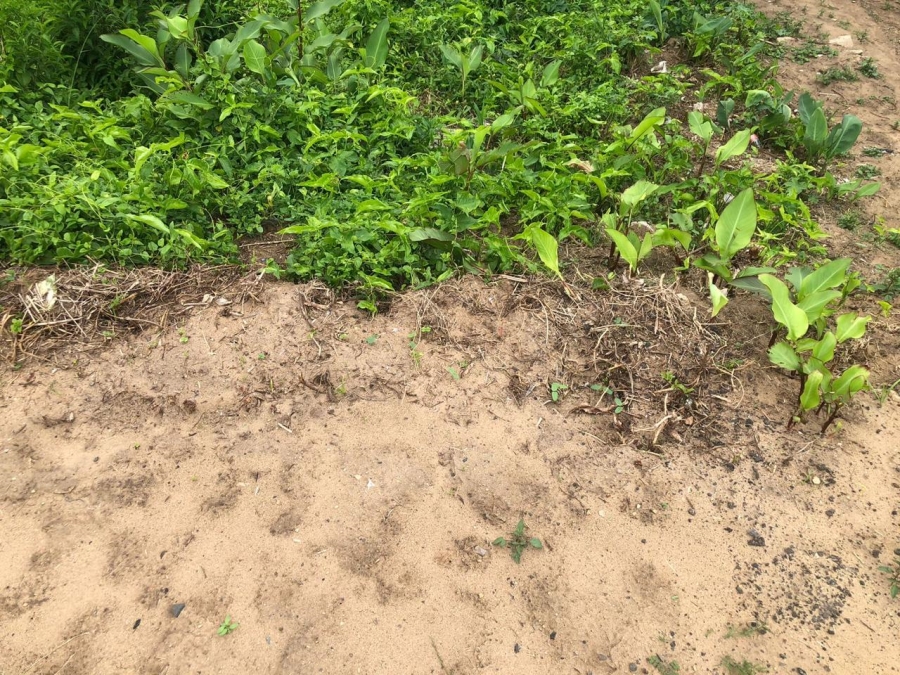 Commercial Property for Sale in Woodgrange KwaZulu-Natal