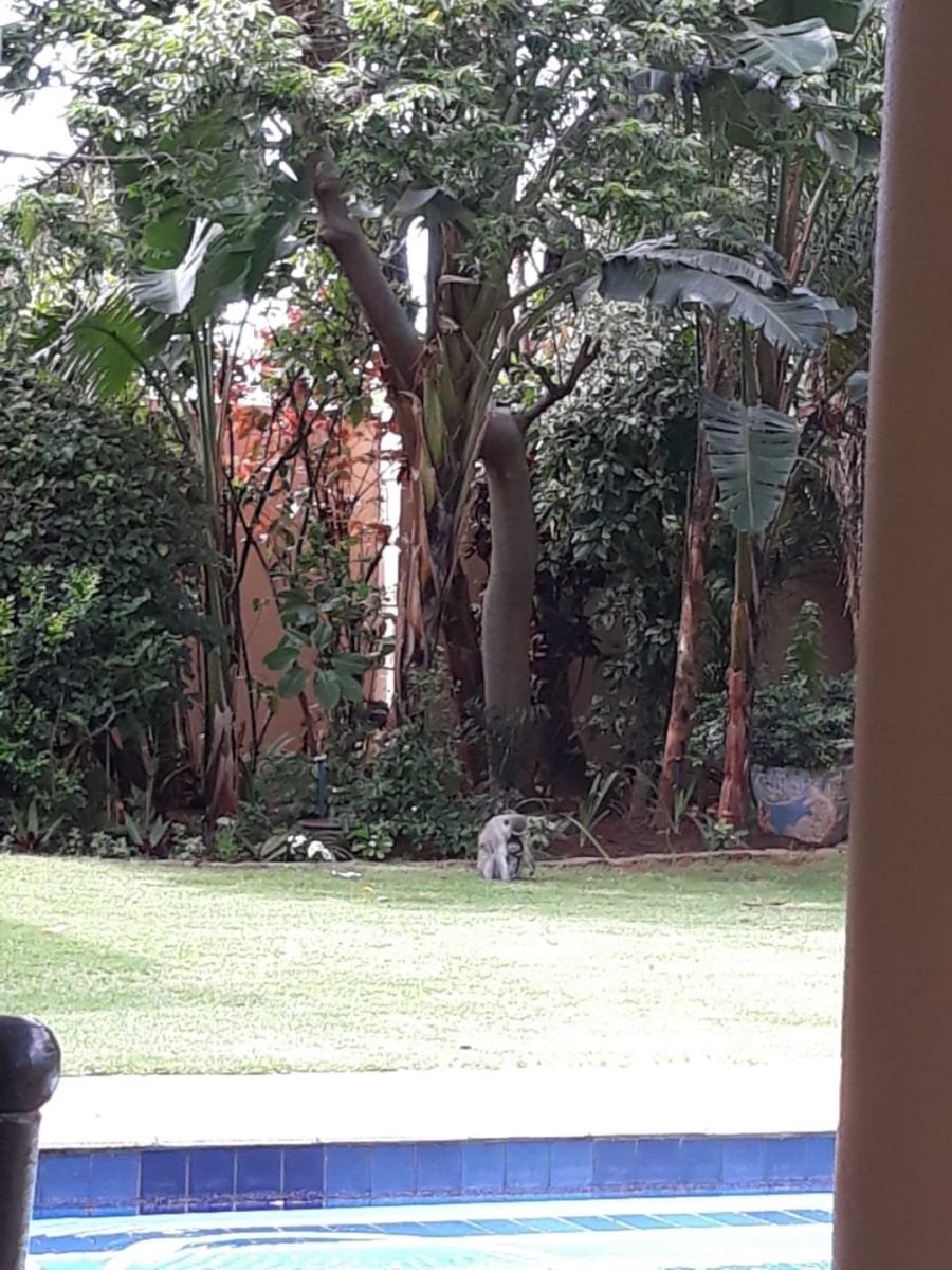 10 Bedroom Property for Sale in Durban North KwaZulu-Natal