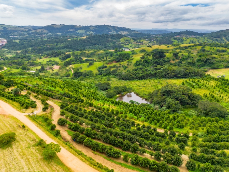 Commercial Property for Sale in Peacevale KwaZulu-Natal