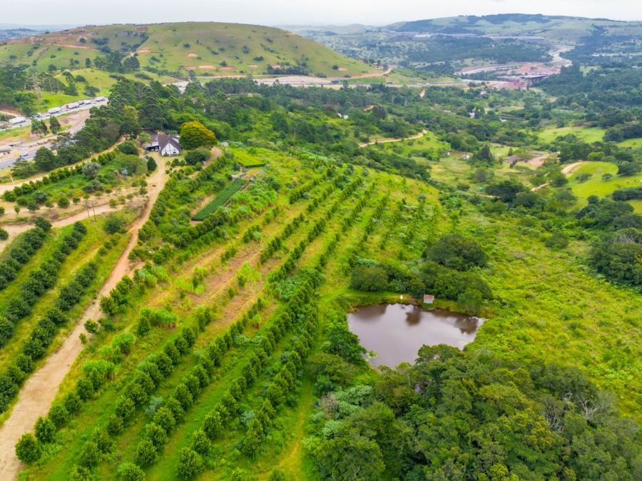 Commercial Property for Sale in Peacevale KwaZulu-Natal