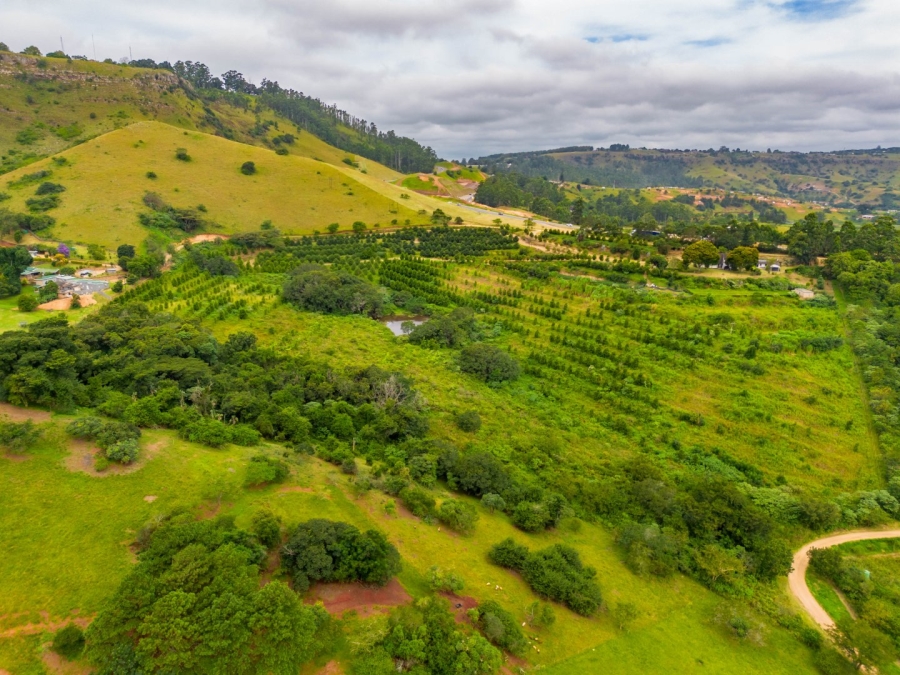 Commercial Property for Sale in Peacevale KwaZulu-Natal