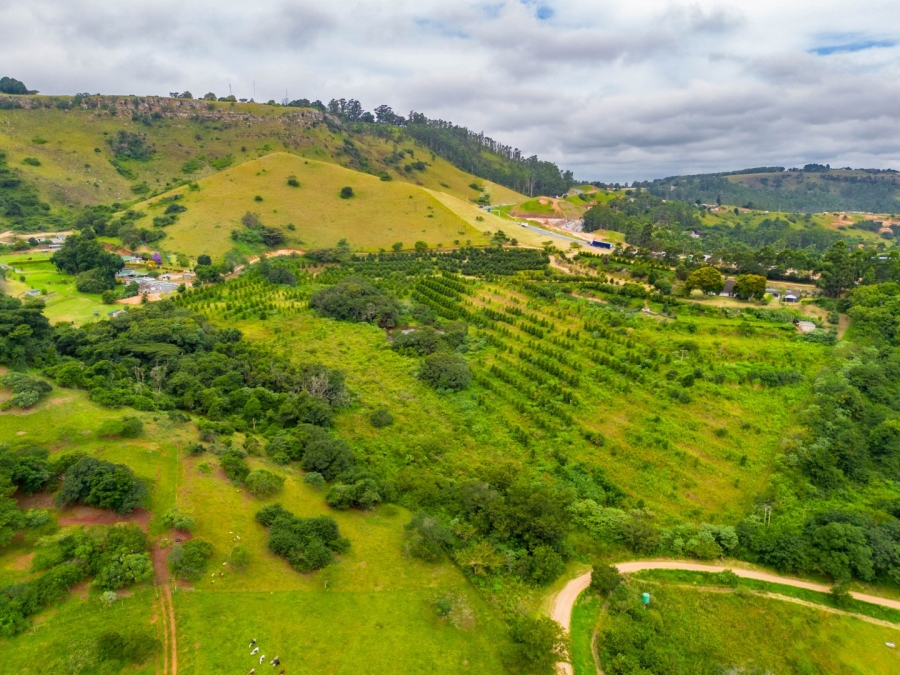 Commercial Property for Sale in Peacevale KwaZulu-Natal