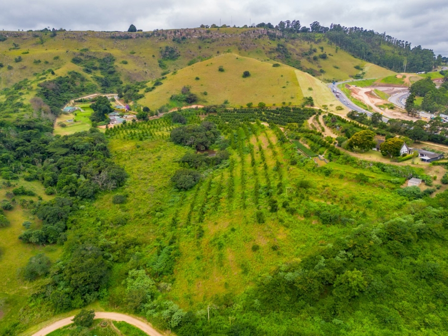 Commercial Property for Sale in Peacevale KwaZulu-Natal