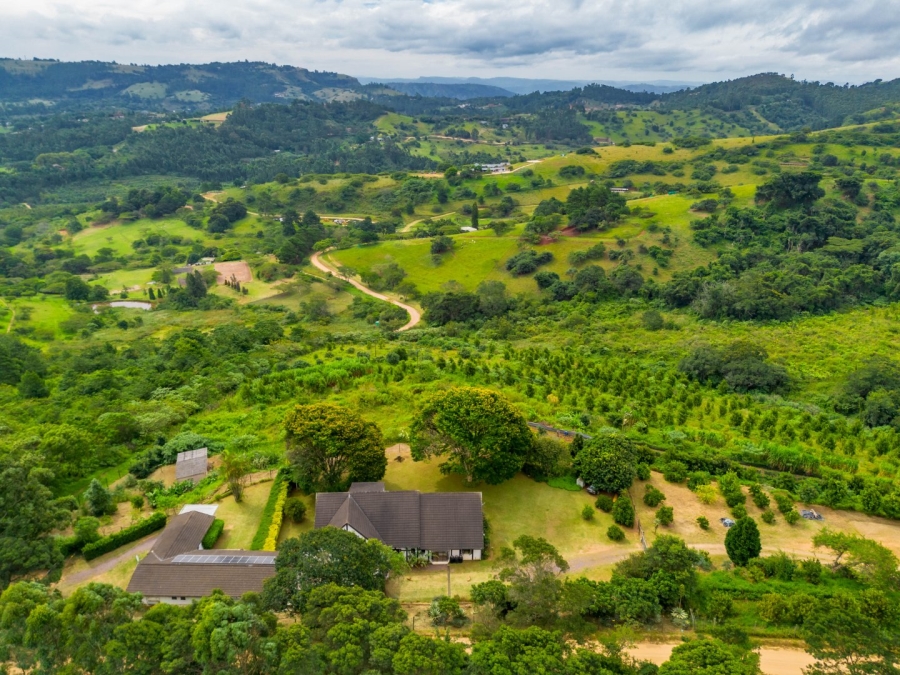 Commercial Property for Sale in Peacevale KwaZulu-Natal