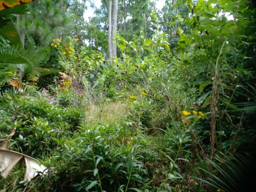 Commercial Property for Sale in Leisure Bay KwaZulu-Natal