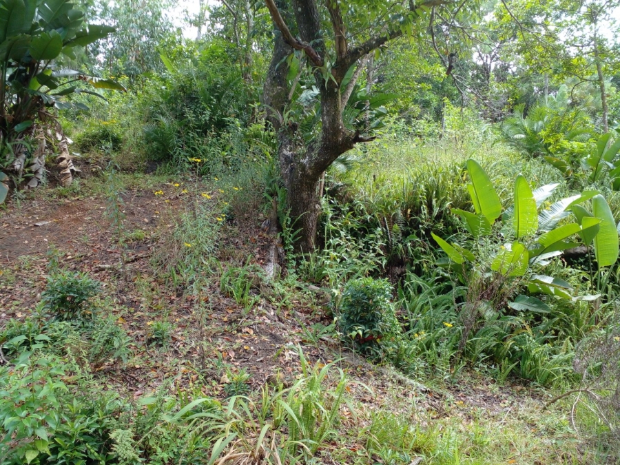 Commercial Property for Sale in Leisure Bay KwaZulu-Natal