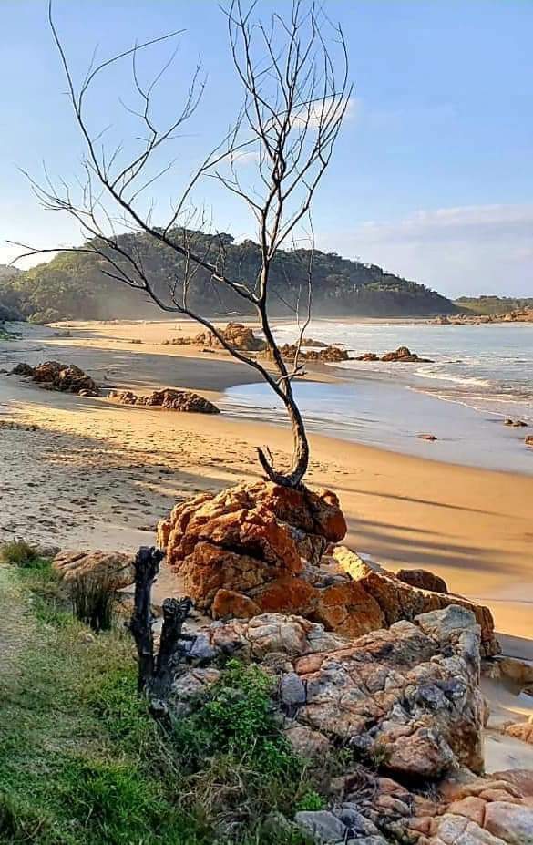 Commercial Property for Sale in Leisure Bay KwaZulu-Natal