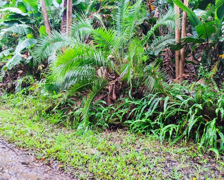 Commercial Property for Sale in Marina Beach KwaZulu-Natal