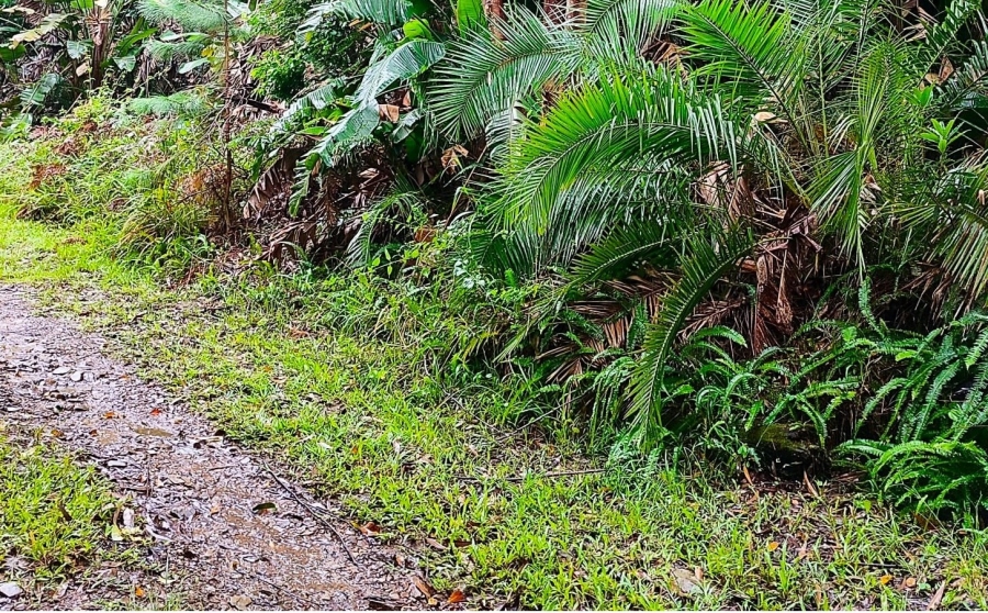 Commercial Property for Sale in Marina Beach KwaZulu-Natal