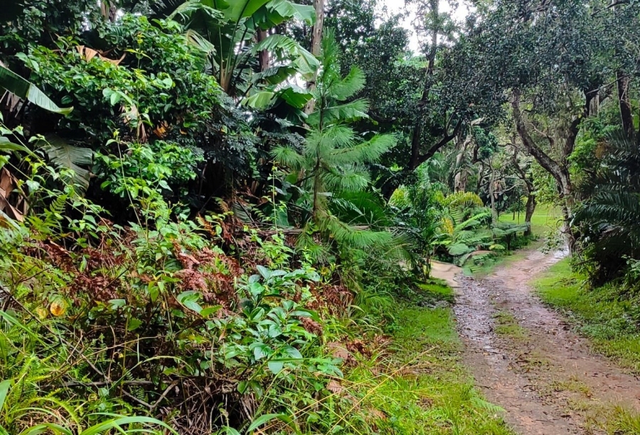 Commercial Property for Sale in Marina Beach KwaZulu-Natal