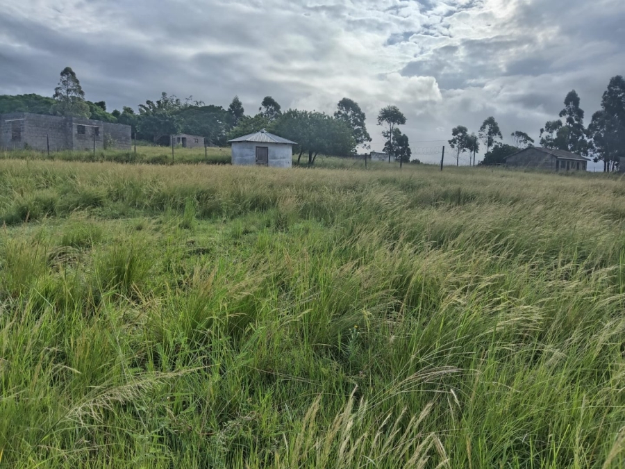 Commercial Property for Sale in Ongoye KwaZulu-Natal