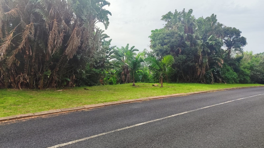 Commercial Property for Sale in Trafalgar KwaZulu-Natal