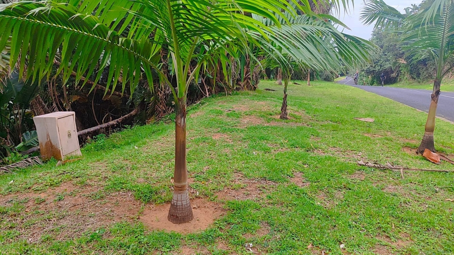 Commercial Property for Sale in Trafalgar KwaZulu-Natal