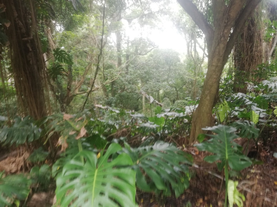 7 Bedroom Property for Sale in Umtentweni KwaZulu-Natal