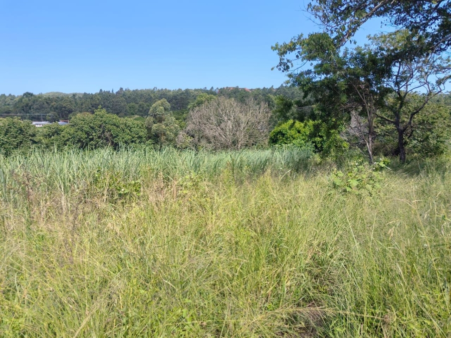 Commercial Property for Sale in Ongoye KwaZulu-Natal