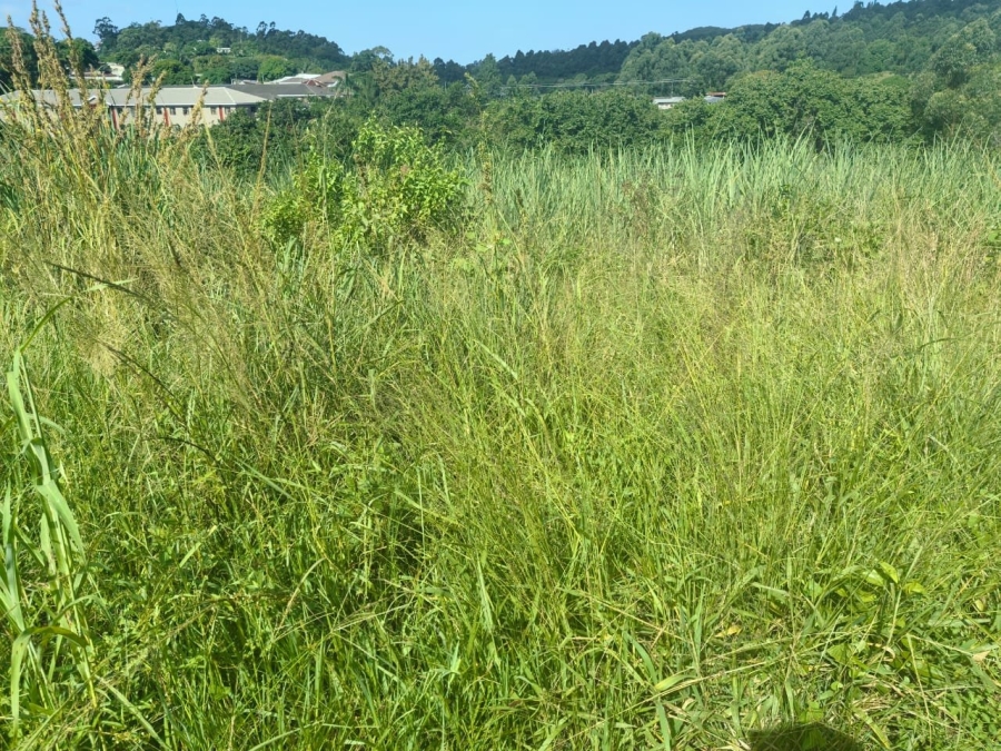 Commercial Property for Sale in Ongoye KwaZulu-Natal