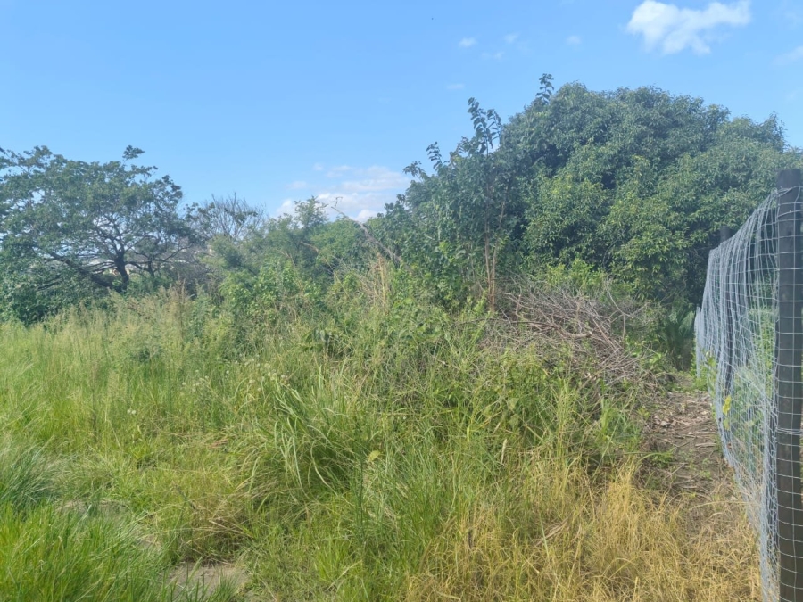 Commercial Property for Sale in Ongoye KwaZulu-Natal