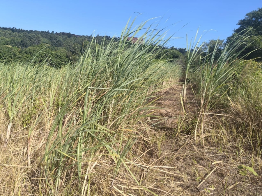 Commercial Property for Sale in Ongoye KwaZulu-Natal