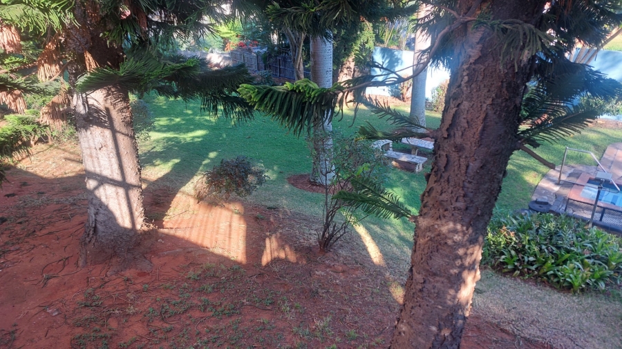 To Let 1 Bedroom Property for Rent in Glenwood KwaZulu-Natal