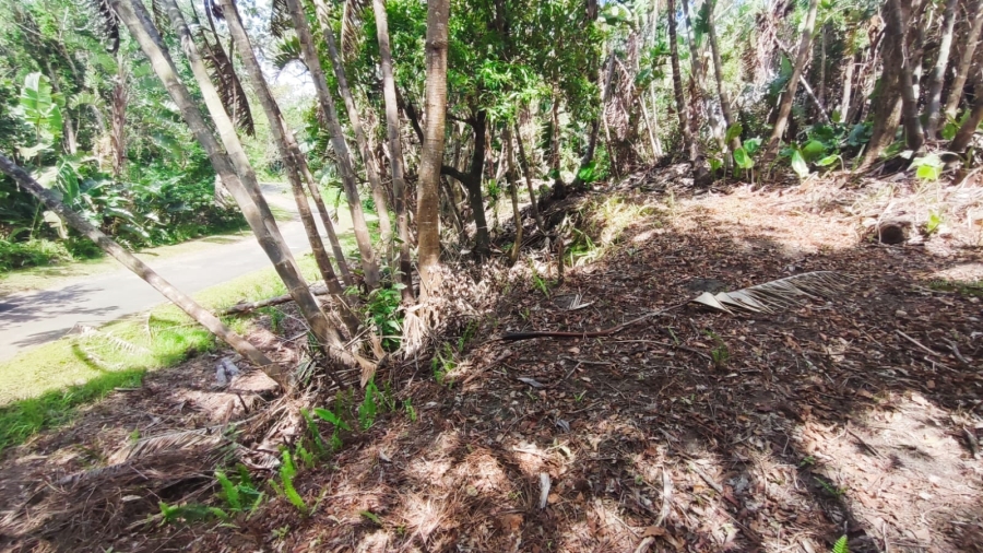 Commercial Property for Sale in Marina Beach KwaZulu-Natal