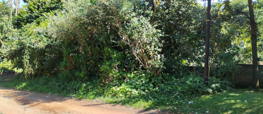 Commercial Property for Sale in Leisure Bay KwaZulu-Natal