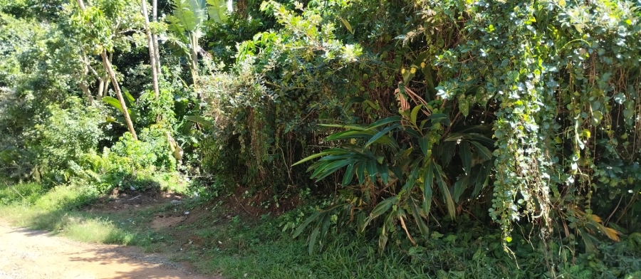 Commercial Property for Sale in Leisure Bay KwaZulu-Natal