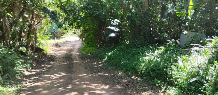 Commercial Property for Sale in Leisure Bay KwaZulu-Natal