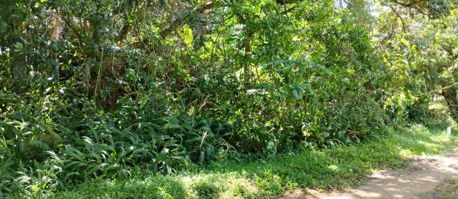 Commercial Property for Sale in Leisure Bay KwaZulu-Natal