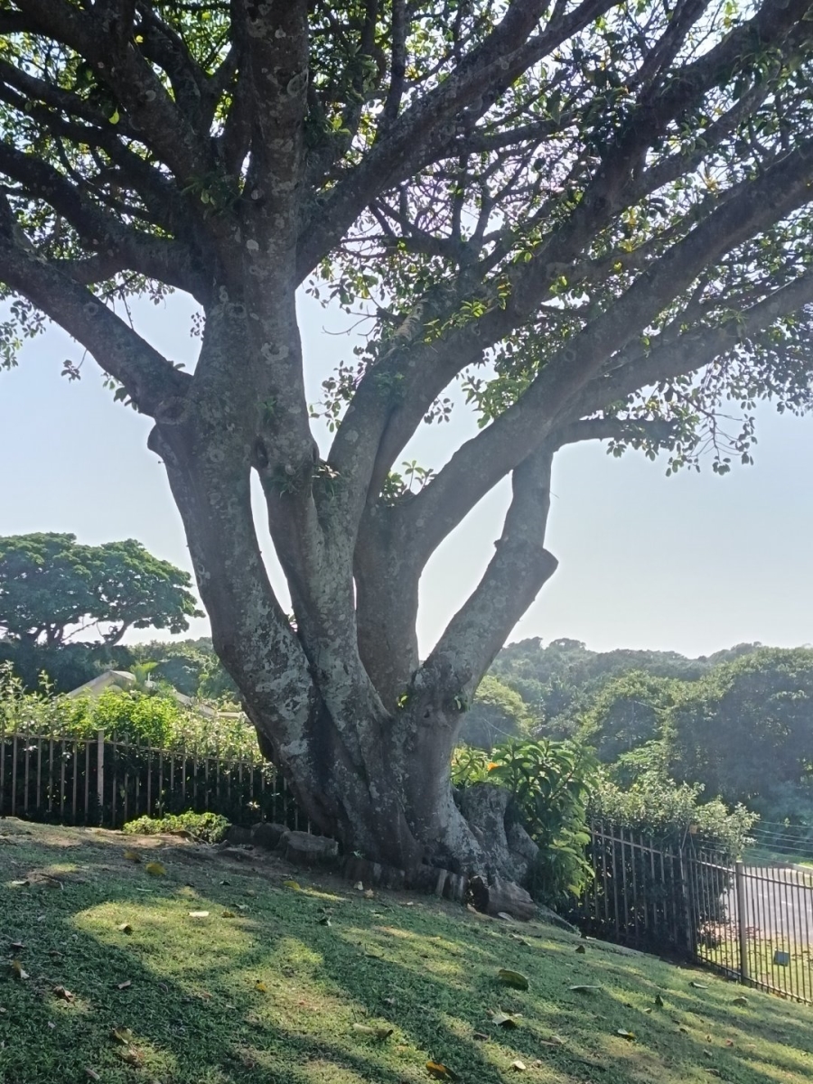 4 Bedroom Property for Sale in Woodgrange KwaZulu-Natal