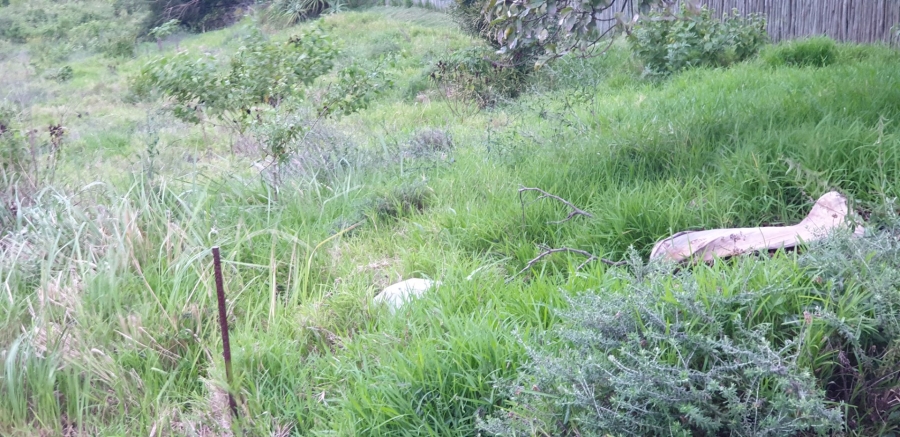 Commercial Property for Sale in Palm Lakes Estate KwaZulu-Natal