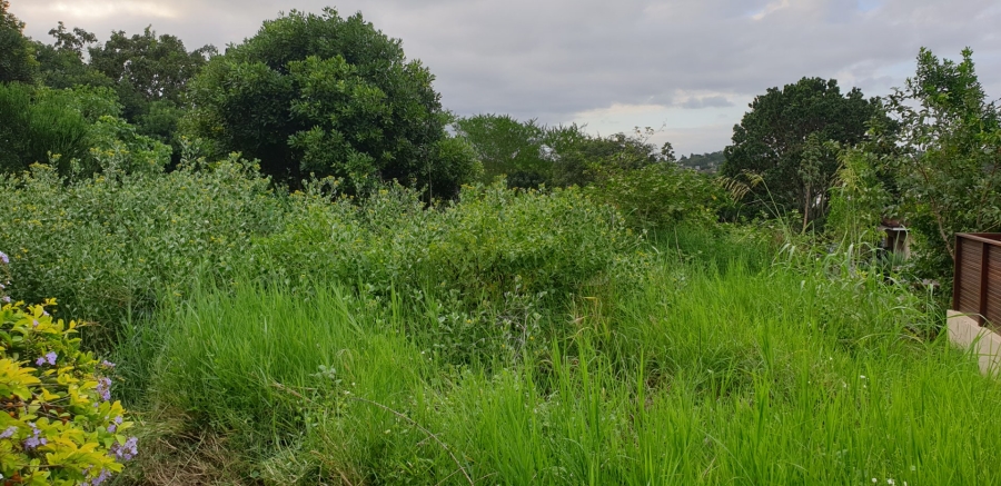 Commercial Property for Sale in Palm Lakes Estate KwaZulu-Natal