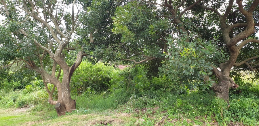 Commercial Property for Sale in Palm Lakes Estate KwaZulu-Natal