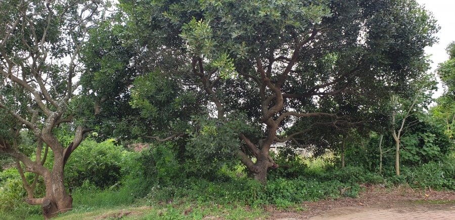 Commercial Property for Sale in Palm Lakes Estate KwaZulu-Natal
